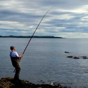 Pescuit în Primorye: unde și cine să prindă