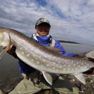Pescuitul în Siberia: caracteristici și beneficii