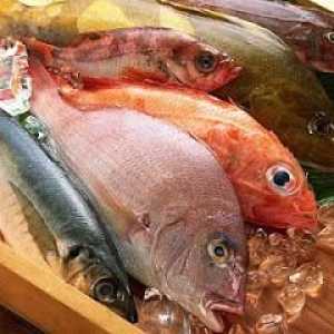 `Fish Manufactory` - cumparam un produs dovedit!