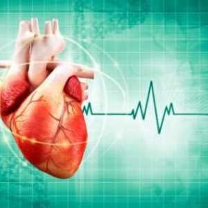 Cel mai eficient remediu pentru aritmia cardiacă: o listă, recenzii