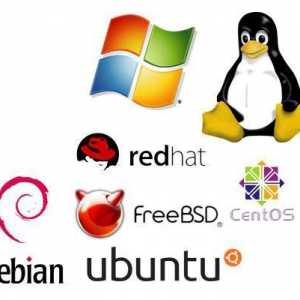 Cele mai populare sisteme de operare pentru servere