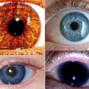 Cea mai rară culoare a ochilor - ce este?