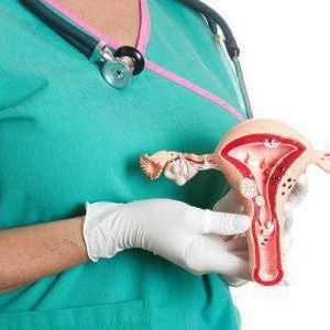 Sanitare în ginecologie: modalități de efectuare și medicamente