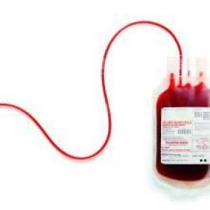 Donarea de sânge: reguli, instruire, condiții, consecințe