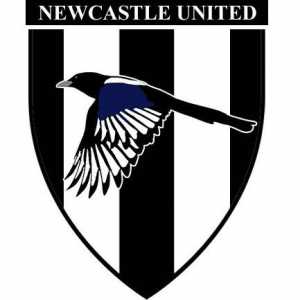 `St. James Park` - arena acasă a clubului de fotbal` Newcastle…