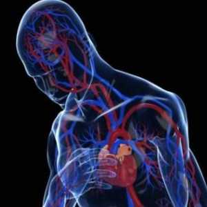 Insuficiența cardiopulmonară: simptome și tratament