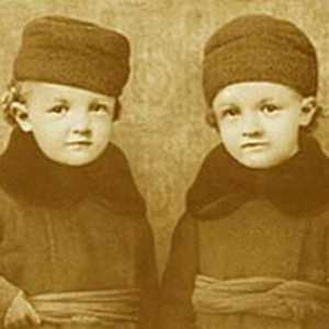 Serghei Iliich Ulyanov - frate geamăn al lui Lenin: biografie, fotografie. Copiii lui Serghei…