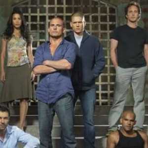 Seria `Escape`: Michael Scofield, biografie și descriere serie