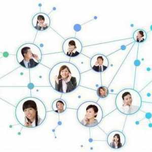 Software de rețea: organizarea activității colective