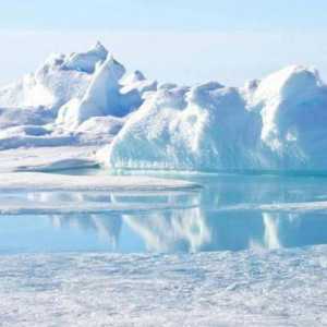 Polul Nord: cel mai nordic punct al planetei noastre