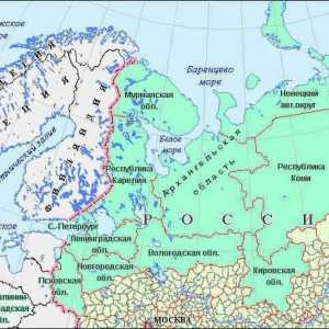 Rusia de Nord-Vest: Economie și Geografie