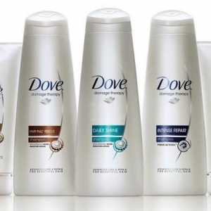 Șampon `Daw` - sănătatea și frumusețea părului