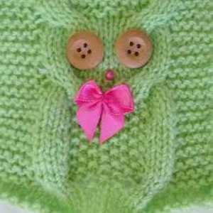 Model de tricotat de o bufniță cu ace de tricotat. Modelul "Owl": descriere