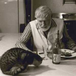 Pisica de șase picior a lui Hemingway
