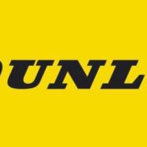 Anvelope Dunlop Eco EC201: recenzii, descrieri, caracteristici