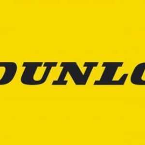 Anvelope Dunlop: Țara de origine, recenzii