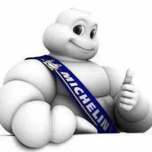 Шины Michelin X-Ice 3: отзывы, цены. Отзывы о резине `Мишлен Икс-Айс Норд 3`