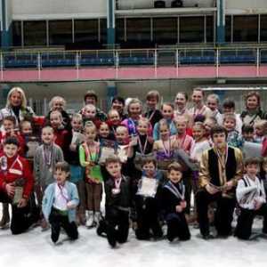 Skating school `Nevsky ice `: informații generale pentru vizitatori, adresa, recenzii