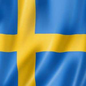 Coroane suedeze. Dinamica ratei de schimb a coroanei suedeze (SEK) la ruble, dolar, euro