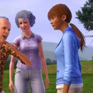 `Sims-3`: cerințe de sistem. Jocul The Sims 3