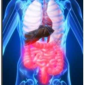 Sindromul intestinului iritabil: tratament, cauze, simptome