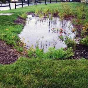Sistemul de canalizare din apele de ploaie: Descrierea și termenii de utilizare