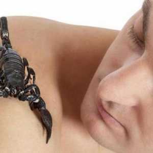 Scorpionul este un bărbat: ce fel de femeie îi place, ce calități au?