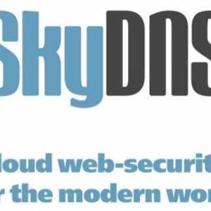 SkyDNS: Cum să dezactivați? Filtru de internet
