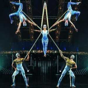 Sochi Circus: Istorie și realități moderne