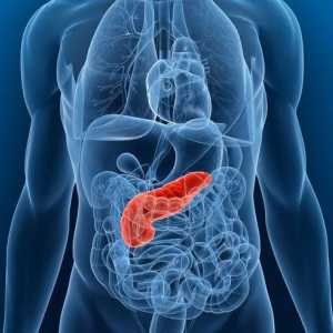 Sucul pancreatic: descriere, compoziție, funcții și caracteristici