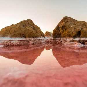 Salt Pink Lake în Crimeea