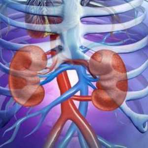 Chisturi solitare ale rinichiului: simptome, tratament și prevenire