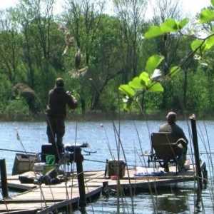 Sfarcul lui Carp: pescuitul fără o dorință