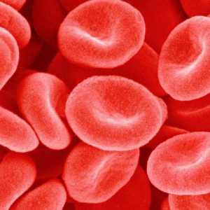 Compoziția și proprietățile fizico-chimice ale plasmei sanguine