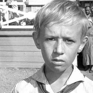 Filmul sovietic "Bine ați venit sau nu": actori și roluri