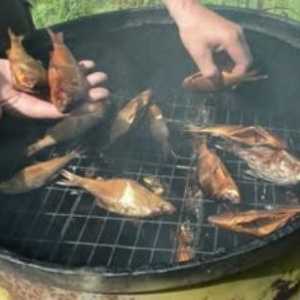 Sfaturi despre cum să fumați pește într-o fum de călcat fierbinte