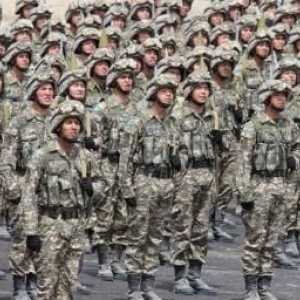 Armata modernă din Kazahstan: forță și armament