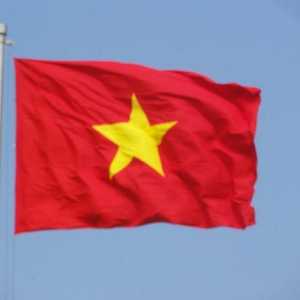 Steagul modern al Vietnamului și variantele sale istorice