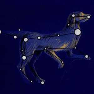 Constellation Big Dog: istorie și stele