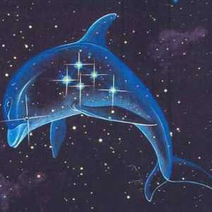 Constellation Dolphin - mic, dar interesant