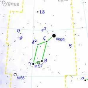 Constelația Lyra - o mică constelație a emisferei nordice. Steaua Vega în constelația lui Lear