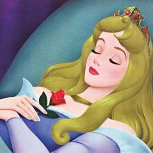 `Sleeping Princess `: analiză, caractere principale și rezumat. "Sleeping…