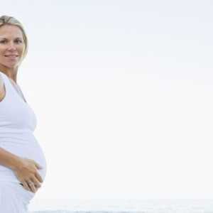 Momentul celui de-al doilea screening în timpul sarcinii. Examinarea cuprinzătoare a femeilor…