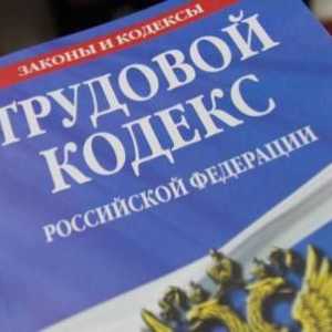 Art. 65 TC RF cu comentarii. Art. 65 din Codul muncii al Federației Ruse: Documente necesare pentru…