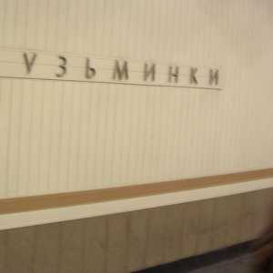 Stația de metrou `Kuzminki` (foto). Ce este această ramură?