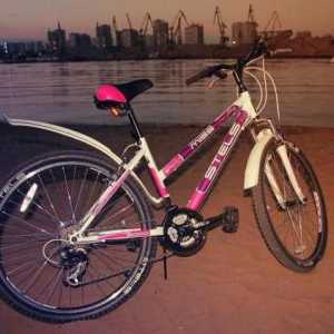 `Stealth Miss 5000 `- o bicicletă elegantă care accentuează personalitatea feminină