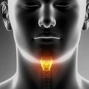 Stenoza laringelui: cauze, simptome, diagnostice și trăsături de tratament