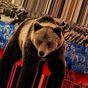 Stereotipurile despre Rusia și ruși. Un urs cu balalaika. Rus Matryoshka