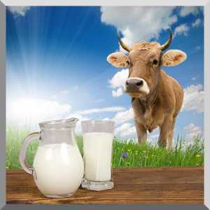Lapte sterilizator pentru casa si ferma
