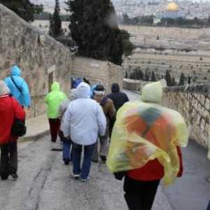 Merită să meargă în Israel în februarie: fotografii și recenzii ale turiștilor